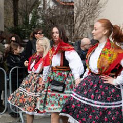 zvsmot0841