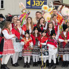 zvsmot1074