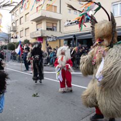 zvsmot1434