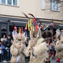 zvsmot1439