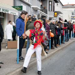 zvsmot1453