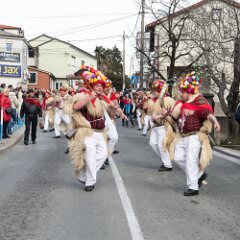 zvsmot1454