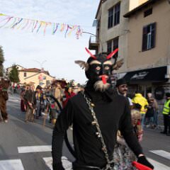 zvsmot1744