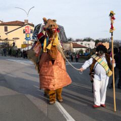 zvsmot1749