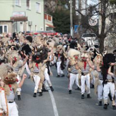 zvsmot1758